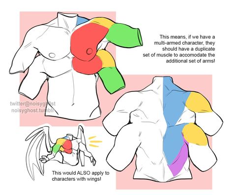 Monster Anatomy, Learning Anatomy, Body Drawing Tutorial, Body Reference Drawing, Seni Origami, 캐릭터 드로잉, Concept Art Drawing, Anatomy Drawing, Figure Drawing Reference