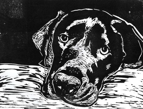 Lino print Labrador Lino Print, Dog Block Print, Animal Lino Print, Dog Lino Print, Lino Print Pattern, Lino Print Artists, Woodcut Art, Linocut Printmaking, Black Paper Drawing