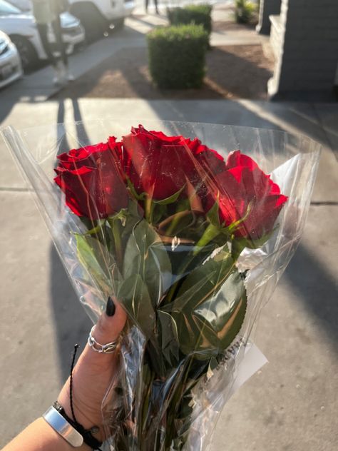 Airport Airplane, Rose Flower Bouquet, Rose Flower, Red Roses, Roses, Flowers, Red