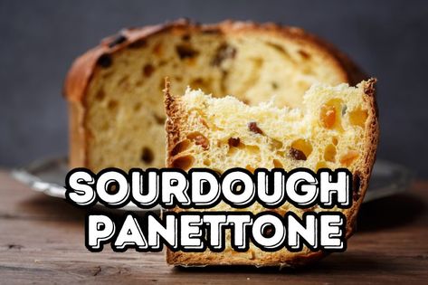 Homemade Sourdough Panettone Recipe With Chocolate Chips - Madelene Kitchen Pannetone Recipe Sourdough, Sourdough Panettone Recipe, Chocolate Chip Panettone Recipe, Panettone Sourdough, Sourdough Panettone, Recipe With Chocolate Chips, Chocolate Panettone, Cook Desserts, Panettone Recipe