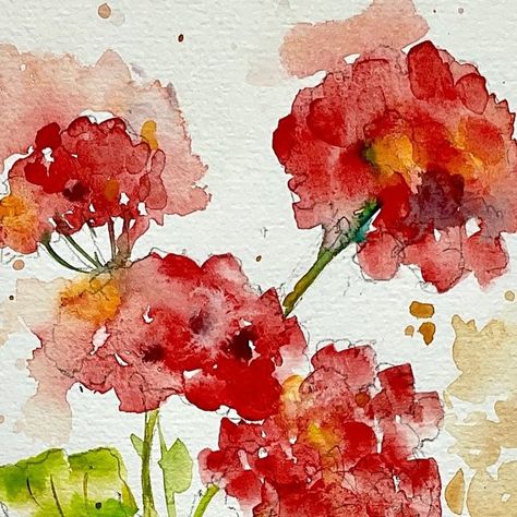 Watercolor Geraniums, Felted Scenes, Geranium Watercolor, Florals Watercolour, Kunst Collages, Watercolor Pencil Art, Loose Watercolor Paintings, Loose Watercolor Flowers, Learn Watercolor Painting