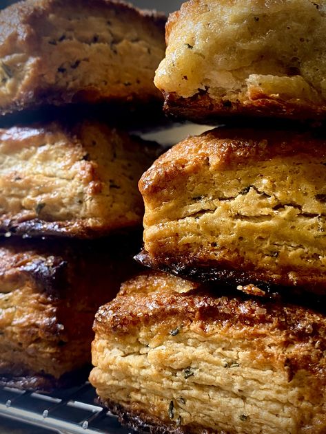 Rosemary Honey Winter Biscuits — Francisco Cooks Rosemary Honey Biscuits, Winter Biscuits, Rosemary Cookies, Rosemary Biscuits, Honey Biscuits, Rosemary Honey, Pecan Cinnamon Rolls, Holiday Meals, Food Favorites