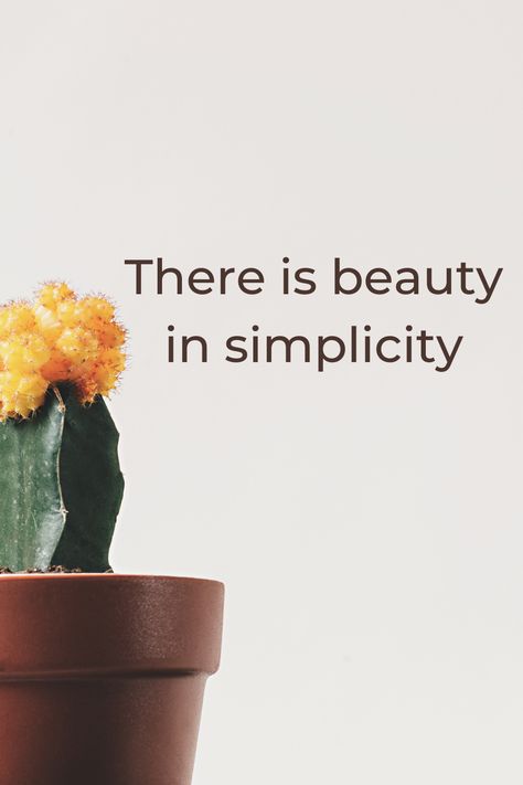 Simplicity Quotes Beauty, Quotes About Simplicity, There Is Beauty In Simplicity, Simplicity Quotes, Quotes Beauty, Beauty In Simplicity, Find Quotes, Beauty Quotes, Self Motivation