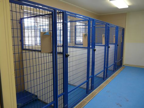 Dog Breeder Kennel Ideas, Indoor Kennels For Dogs, Dog Boarding Kennels Designs, Boarding Kennel Ideas, Commercial Dog Kennel Ideas, Dog Breeders Kennels, In Home Boarding Kennel, Commercial Dog Kennel, Kennel Ideas Outdoor