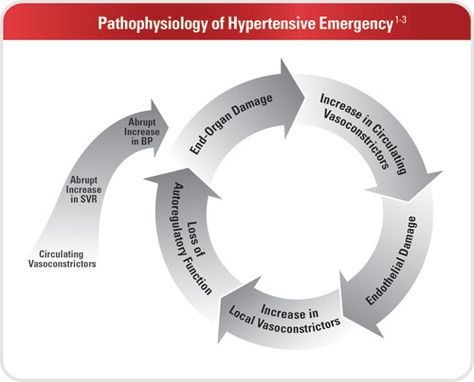 patho-hypertensive crisis Hypertensive Crisis, Pcu Nurse, Nursing Information, Blood Pressure Cuff, Blood Pressure Monitor, Critical Care, Be Safe, Nursing School, Blood Pressure