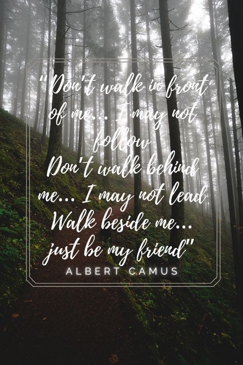 #quotesinstagram #wisewords Walk Beside Me Quotes, Be My Friend, Wise Sayings, Albert Camus, Wise Quotes, Just Me, My Friend, Wise Words, Walk In