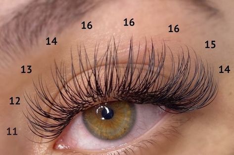 Basic Eyelash Extension, Lash Map Classic Set, Types Of Eyelash Extensions Styles Wispy, Eyelash Extensions Styles Natural Simple, Classic Cat Eye Mapping, Classic Set Eyelash Extensions Mapping, Eyelash Extension Mapping Styles, Wispy Classic Lash Extensions Map, Classic Eyelash Extensions Mapping