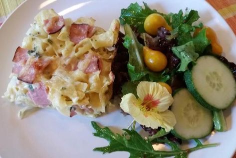 Austrian Baked Ham, Cheese, and Noodle Casserole | Marin Mommies Austrian Recipes, Baked Pasta, Noodle Casserole, Ham Cheese, Baked Ham, Pasta Dish, Egg Noodles, Pasta Bake, Ham And Cheese