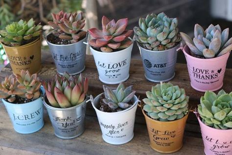 Succulent Party Favors, Succulents For Sale, Succulent Wedding Favors, Creative Wedding Favors, Succulent Favors, Wedding Favors And Gifts, Elegant Wedding Favors, Succulent Gifts, Wedding Favors Cheap