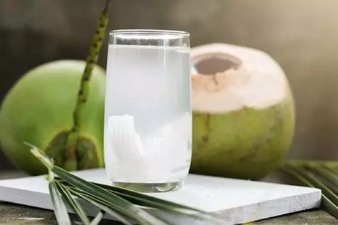 Buktikan Manfaat Minum Air Kelapa Campur Lemon dan Nanas Healthy Food For Men, Hydrating Foods, Coconut Water Benefits, Water Facts, Air Kelapa, Water Benefits, Coconut Health Benefits, Fiesta Tropical, Baby Drinks