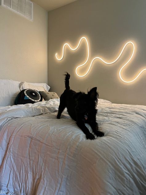 Neon Strip Lights Bedroom, Led Rope Lights Bedroom, Neon Rope Light Ideas, Rope Lights Bedroom, Neon Strip Lights, Neon Rope, Neon Lights Bedroom, Dorm Room Styles, Neon Bedroom