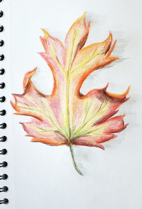 Thanksgiving Dec, Pencil Techniques, Technical Drawings, Colored Pencil Techniques, Pencil Crayon, Pencil On Paper, Leaf Coloring, Autumn Leaf, Color Pencil Art