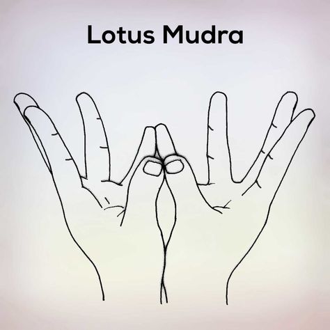 Shunya Mudra - How does it work, Steps & Benefits - nexoye Mudra Drawing, Lotus Mudra, Hand Yoga, Gyan Mudra, Yoga Mudras, Ancient Drawings, Tai Chi Qigong, Yoga Chakra, Yoga Logo