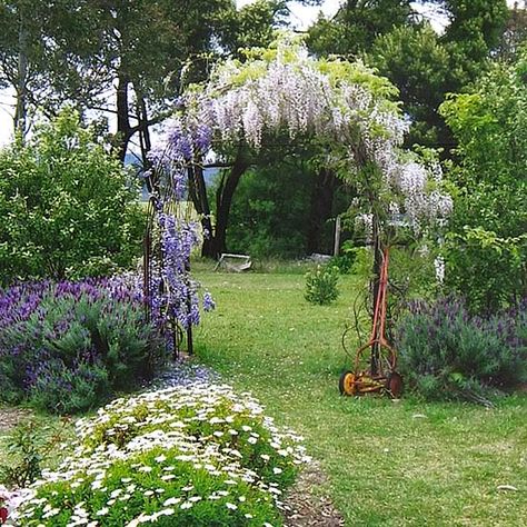 Kind of like Rose's wisteria covered arch Wisteria Trellis, Wisteria Arbor, Wisteria Pergola, Wisteria Garden, Garden Archway, English Garden Design, Pergola Garden, Screen Room, Fall Garden Vegetables