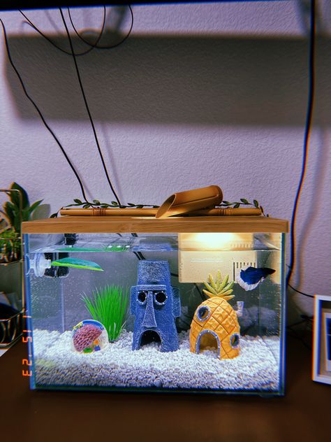 Spongebob Fish Tank Ideas, Room Fish Tank Ideas, Mini Fish Tank Ideas, Fish Aquarium Ideas Small, Fish Tank Aesthetic Bedroom, Fish Pet Aesthetic, Cute Betta Fish Tank Ideas, Fish Tank Decorations Ideas, Small Fish Tank Ideas Bedrooms