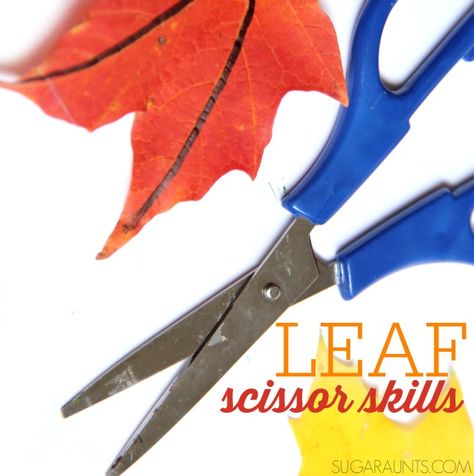 Practice scissor skills with Fall leaves to work on line awareness and scissor control. Autumn Provocations, Scissor Skills Activities, Autumn Preschool, Teal Room, Nature Preschool, Playdough To Plato, Homeschool Fun, Fine Motor Activities For Kids, Seasonal Activities