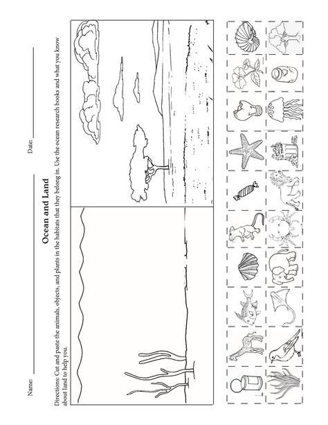 Free download of PDF about ocean and land habitats. Cut and paste for kids. Kindergarten Math Patterns, Sequencing Kindergarten, Number Patterns Worksheets, Ecosystem Activities, Habitat Activities, Shapes Worksheet Kindergarten, Sequencing Worksheets, Animal Classification, Math Patterns