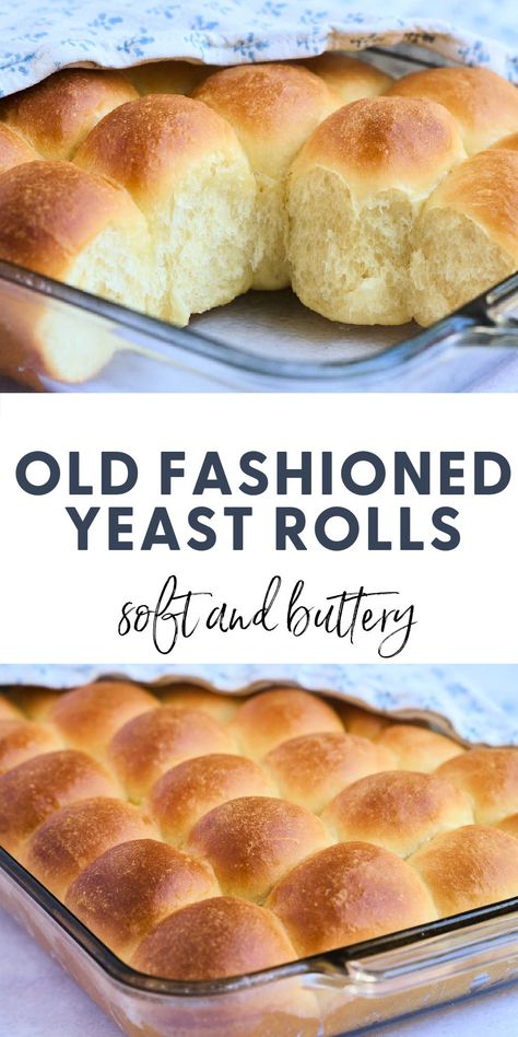 Old Fashioned Soft and Buttery Yeast Rolls Homemade Roll Recipes, Yeast Buns Easy, Soft Buns Recipe Dinner Rolls, Yeast Rolls Kitchenaid Stand Mixers, Cafeteria Yeast Rolls School Lunchroom, Easy Hot Rolls Recipe, Yeast Rolls With Self Rising Flour, Yeast Rolls With Bread Flour, Homemade Rolls Without Stand Mixer