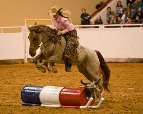 Professional's Choice endorser Wylene Wilson demonstrates some impressive training at the Mustang Makeover competition. Barn Designs Ideas, Mustang Training, Barrel Racing Photography, Mustang Makeover, Horse Obstacles, Horse Adventure, Amazing Horses, Riding Habit, Equestrian Events