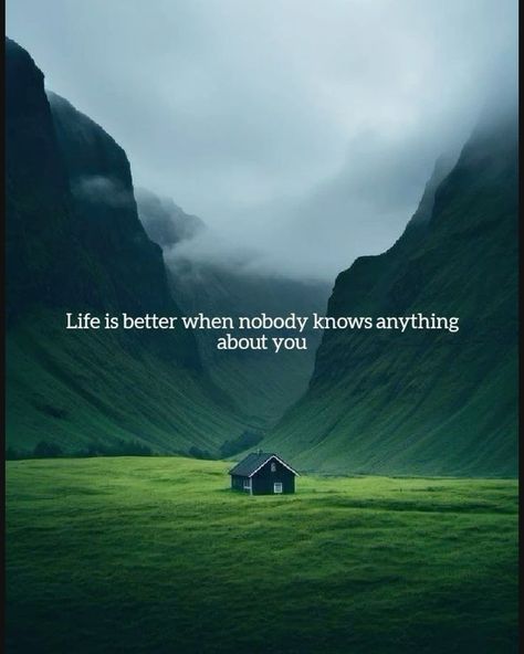 In the quiet moments, when no one knows your story, that’s where true peace resides. A life untold is a life unbothered. #boroughkings #SolitudeState #UnseenJourney #QuietLife #LiveUnnoticed #PeacefulMind #UntoldStories #SimpleLiving #HiddenInPlainSight #NatureWhisper #LifeUnplugged #LowkeyLiving #SilentStrength Silence Quotes, Quiet Moments, The Quiet, Simple Living, Low Key, Peace Of Mind, Your Story, Knowing You, Life Is Good