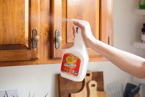 8 Tips from Family-Owned Cleaning Companies | Kitchn Kitchen Cabinets Fronts, Krud Kutter, Cleaning Cabinets, Clean Sweep, Dawn Dish Soap, Chrome Fixtures, Professional Cleaners, Cleaning Companies, Magic Eraser