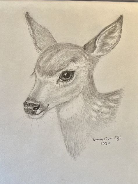 Realistic Deer Drawing, Drawings Of Deer, Animal Sketch Ideas, Deer Sketches, Deer Drawings, Landscape Drawing Tutorial, Reindeer Drawing, Deer Sketch, Side View Drawing