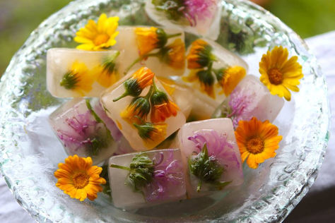 Beat the heat this summer with these stunning floral ice cubes. Loaded with beneficial herbs to help make the most of your sipping time! Learn more in our Online Herbal Immersion Program! Flower Ice Cubes, Floral Ice, Pastel Cupcakes, Flower Ice, Summer Garden Party, Festa Party, Ice Cube Trays, Edible Flowers, Ice Cubes