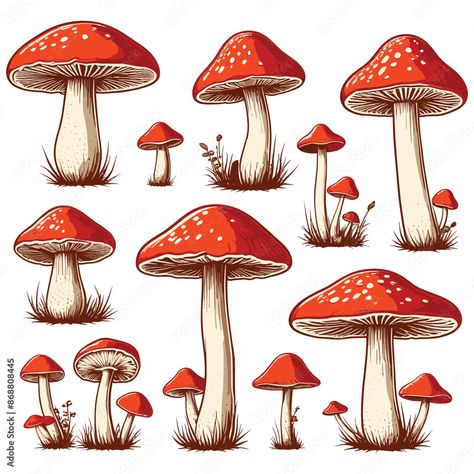 Vintage Mushroom Illustrations Set Mushroom Illustrations, Vintage Mushroom, Adobe Stock, Stock Vector, Stuffed Mushrooms, Stock Photos, Illustrations