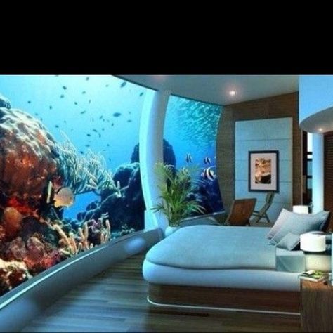 46 Inspiring Fish Tanks for the Aquatic Lover in You ... Fish Tank Bed, Big Fish Tanks, Fish Tank Table, Underwater Room, Underwater Hotel, Cool Fish Tanks, Betta Tank, Cool Fish, Aquarium Design