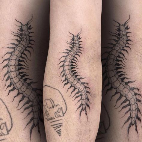 Really cool creepy centipede🐛would love do do more creepy bugs or anything Halloween! #centipedetattoo #bugtattoo #creepytattoo #haloweentattoo #tat #tattoos #tattoo #tattoodesign #tattooideas #utahtattoo #utahtattoos #utahtattooartist #americanforktattoos #americanforktattooartist #rawinktattoos Small Centipede Tattoo, Creepy Bugs, Centipede Tattoo, H Tattoo, Bug Tattoo, Creepy Tattoos, Tattoo Inspo, Ink Tattoo, Do More