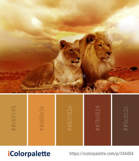 Color Palette Ideas from Wildlife Lion Masai Image Lion Colour Palette, Wildlife Colour Palette, Lion Color Palette, Safari Colour Palette, Leo Color Palette, Safari Color Palette, Safari Palette, Color Palette Theme, Pallet Pictures