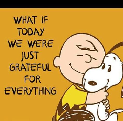 50 Gratitude Memes To Share When You're Feeling Thankful Thankful Quotes Life, Gratitude Quotes Thankful, Happy Thanksgiving Pictures, Gratitude Day, Happy Thanksgiving Images, Thankful Quotes, Feeling Thankful, Thanksgiving Images, Thank You Quotes