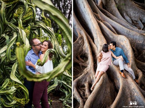 Tree with roots at Balboa Park used for an engagement photo shoot Park Family Photoshoot, Park Engagement Shoot, Tree With Roots, Urban Sprawl, Proposal Photoshoot, Balboa Park San Diego, Engagement Photo Shoot, San Diego Photography, Downtown San Diego