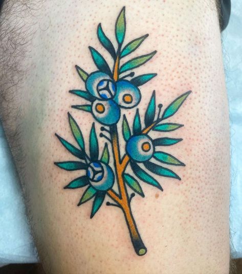 Julia Neely (@julianeelyislame) posted on Instagram • Aug 19, 2020 at 3:37pm UTC Juniper Plant Tattoo, Juniper Berry Tattoo, Berry Traditional Tattoo, American Traditional Berry Tattoo, Juniper Tattoo, Juniper Berries Illustration, Juniper Berry, American Traditional Tattoo, Arm Sleeve