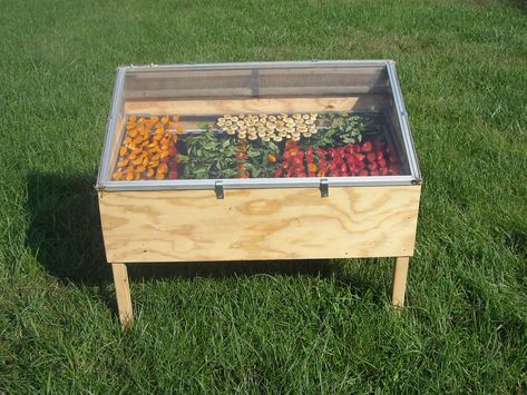 Solar dehydrator using recycled window and scrap lumber Solar Oven Diy, Solar Dehydrator, Diy Food Storage, Solaire Diy, Preserving Tomatoes, Food Dryer, Food Dehydration, Solar Cooking, Solar Cooker