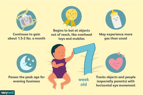 Your 7-Week-Old Baby’s Development 7 Month Baby Milestones, 7 Month Milestones, 7 Week Old Baby, Infant Room Daycare, Baby Development Milestones, Learn Everyday, 7 Month Baby, Baby Captions, 5 Month Old Baby