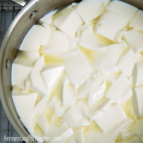 Simple and Delicious Kefir Cheese - Fermenting for Foodies Rennet Cheese, Cheese Recipes Homemade, Cheese Making Recipes, Cheese Mold, Cheese Curds, Fresh Cheese, Homemade Cheese, Creamy Cheese, Soft Cheese