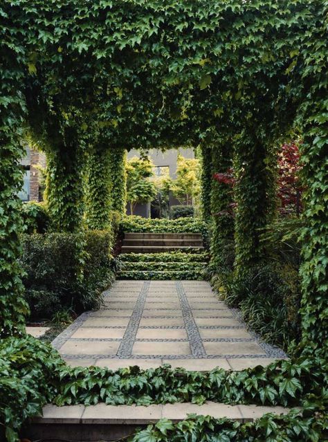 Ivy Ombra Pergola, Patio Trellis, Outdoor Walkway, Garden Vines, Backyard Pergola, Formal Gardens, Diy Pergola, Pergola Shade, Gorgeous Gardens