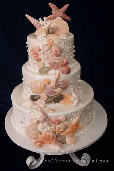 Beach Ivory Buttercream Round Topper Wedding Cake Wedding Cakes Photos & Pictures - WeddingWire.com Seashell Cake, Beach Theme Wedding Cakes, Beach Themed Cakes, Choc Cake, Seashell Wedding, Sea Cakes, Chocolate Wedding, Beach Cakes, Sea Wedding