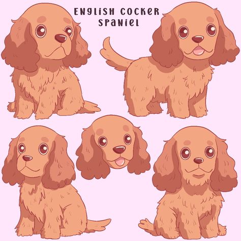 Cocker Spaniel Illustration, English Cocker Spaniel Puppies, Spirit Tattoo, Cocker Spaniel Puppies, Cocker Spaniel Dog, English Cocker, English Cocker Spaniel, Spaniel Puppies, Different Dogs