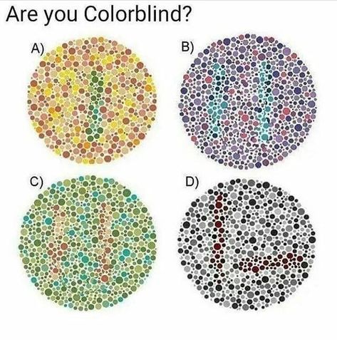 Colorblind Test, Color Blind, Watch Movies Online, Big Money, Watch Tv Shows, Tv Shows Online, How To Make Shorts, Watch Tv, Watch Movies