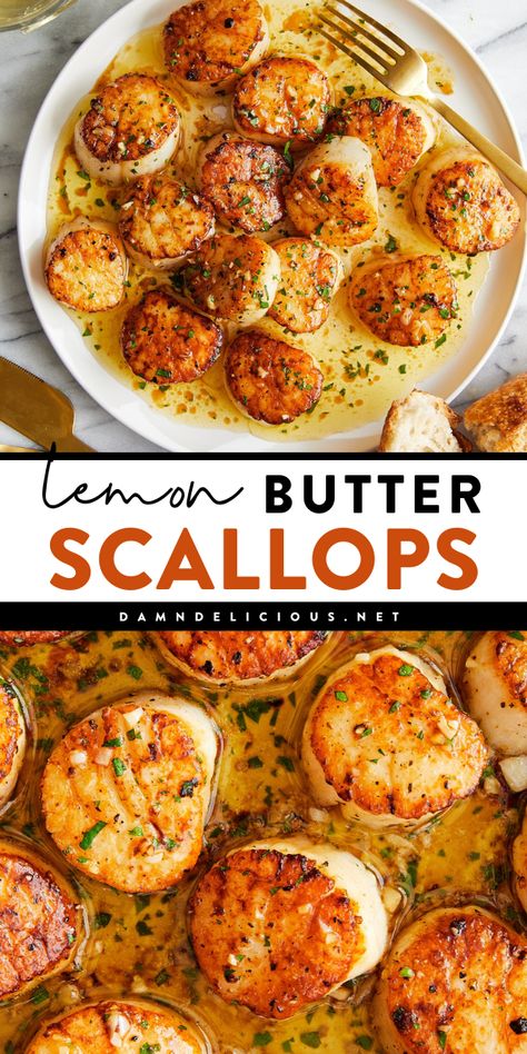 A main course recipe featuring lemon scallops! It's also an easy appetizer for a party. Cooked in a lemon butter sauce, these seared scallops are of restaurant quality! 5 ingredients are all you need! Scallops And Chicken Recipe, Grill Scallops Recipe, Salmon Fancy Dinner, Chicken And Scallops Recipes, Best Dinners For The Lake, Scallop Recipes Seared, Scallops And Couscous, Sea Scallops And Pasta, Scallops Recipe Healthy