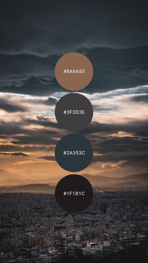 Navy Neutral Color Palette, Masculine Color Palette Hex Codes, Muted Moody Color Palette, Dark Luxury Color Palette, Masculine Painting Ideas, Charcoal Colour Palette, Masculine Colour Palette, Navy Blue Color Palette Colour Schemes, Color Palette Masculine