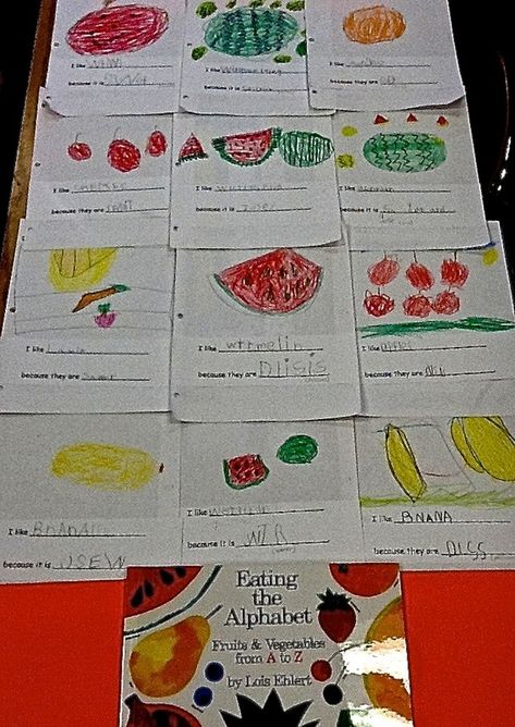 Kindergarten English learners read, talk and write about their favorite fruits and vegetables inspired by Lois Ehlert's Eating the Alphabet. Eating The Alphabet, Healthy Habits Preschool, Lois Ehlert, Alphabet Activities Kindergarten, Writing Instruction, Kindergarten Lesson Plans, Preschool Literacy, Creative Curriculum, Alphabet Activities Preschool