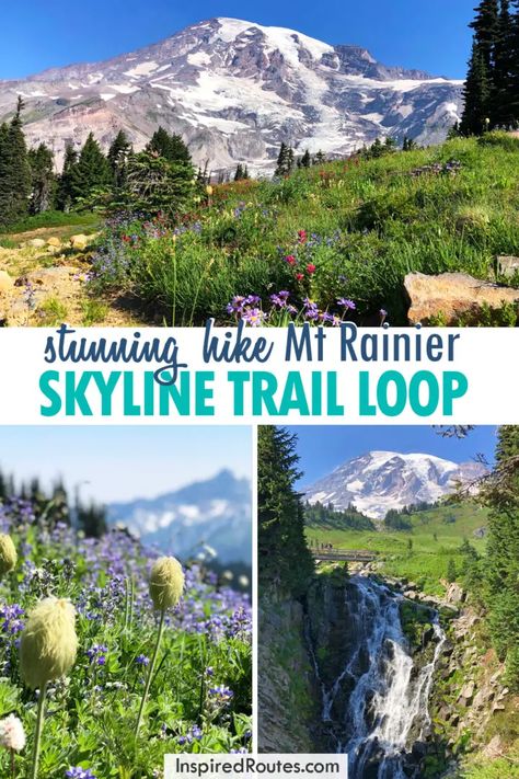 AMAZING Skyline Trail Mt Rainier: Ultimate Guide to this Epic Hike Paradise Mount Rainier, Paradise Mt Rainier, My Rainier National Park, American Roadtrip, Washington Trip, Oregon Trip, Mt Rainier National Park, Washington Hikes, Road Trip Places