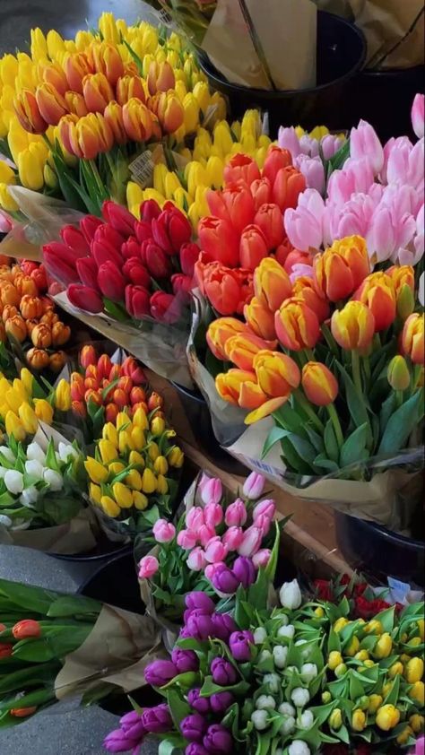 Boquette Flowers, Nothing But Flowers, Flower Therapy, Beautiful Bouquet Of Flowers, Luxury Flowers, Tulips Flowers, Beautiful Bouquet, Flower Market, Love Flowers