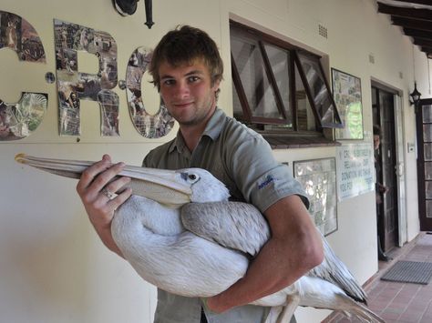 Animal Volunteering Aesthetic, Wildlife Rehabilitation Aesthetic, Volunteering Aesthetic Animals, Volunteer In Africa Aesthetic, Veterinarians Medicine, University Inspiration, South Africa Volunteering, South Africa Animals Wildlife, Veterinary School