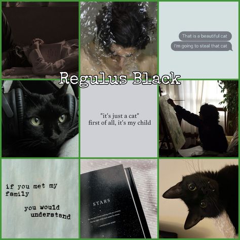 Regulus black aesthetic Regulus Black Hair, Regulus Black Aesthetic Outfits, Regulus Black X Y/n, Regulus Black Kinnie, Regulus Black Outfit, Regulus Kinnie, Slytherclaw Aesthetic, James Potter And Regulus Black, Black Inspired Outfits