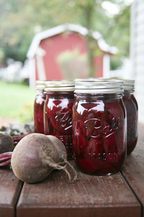 Canning Red Beets | Pinch of Parsley Canned Red Beets Recipe, How To Peel Beets, Red Beets Recipe, Canned Pickled Beets, Canning Beets, Basic Brine, Quick Pickle Recipe, High Acid Foods, Pickled Beets Recipe