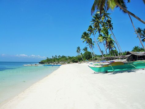 Siquijor Island - Mystique Beauty | Apenoni Siquijor Island, Enchanted Tree, Dumaguete, Island Photography, Amazing Beaches, Evening Sunset, Famous Places, 2024 Vision, Boat Trips